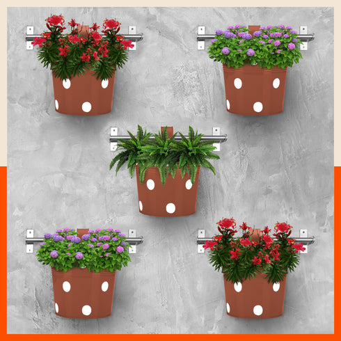 RUI Hanging Metal Pot Holders / Planters for Home / Balcony / Garden | Terra - Set of 5